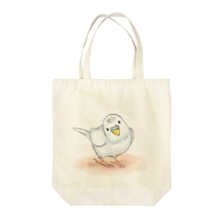 セキセイインコ　レティ【まめるりはことり】