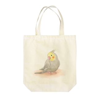 オカメインコ　シナモン【まめるりはことり】