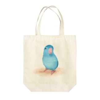 ブルーマメルリハ【まめるりはことり】