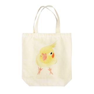 オカメインコ　おすましルチノー【まめるりはことり】