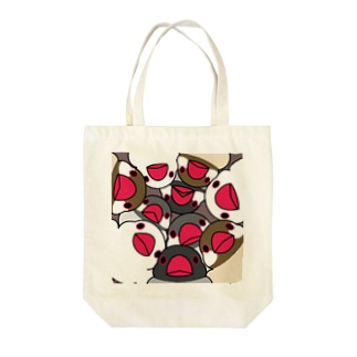 みっちりむっちり過密文鳥さん【まめるりはことり】