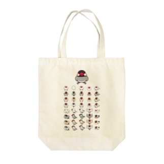 整列文鳥隊【まめるりはことり】