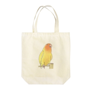 得意げ可愛い　コザクラインコちゃん【まめるりはことり】