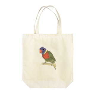 色合いが綺麗なゴシキセイガイインコちゃん【まめるりはことり】