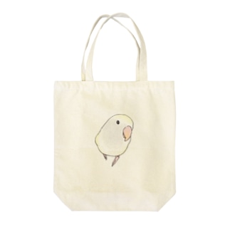 コザクラインコ　バイオレットパイドちゃん【まめるりはことり】