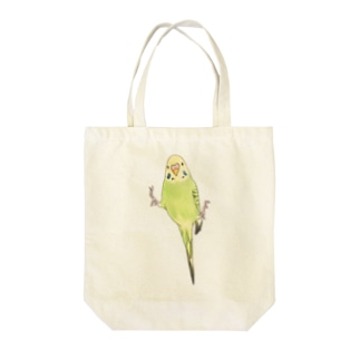 ピタッとセキセイインコちゃん【まめるりはことり】