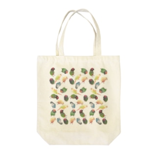 たっぷりウロコインコちゃん【まめるりはことり】