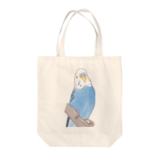 セキセイインコちゃんと止まり木【まめるりはことり】