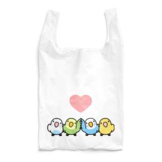 ハイタッチなかよしセキセイインコ【まめるりはことり】