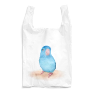 ブルーマメルリハ【まめるりはことり】