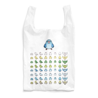 整列マメルリハ隊【まめるりはことり】