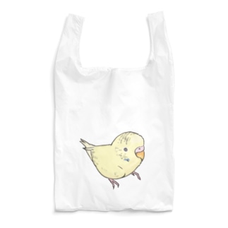 可愛いセキセイインコ　おすましちゃん【まめるりはことり】