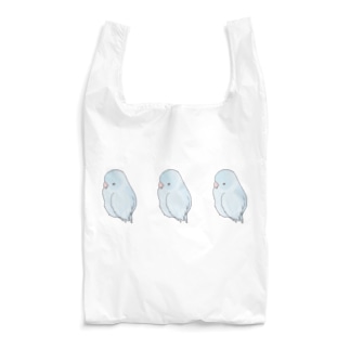 可愛いアメリカンホワイト　マメルリハちゃん【まめるりはことり】