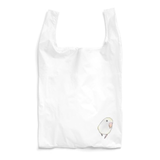 コザクラインコ　バイオレットパイドちゃん【まめるりはことり】