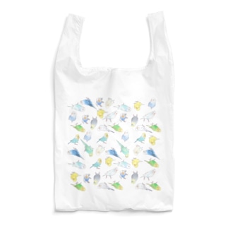 めっちゃセキセイインコちゃん【まめるりはことり】