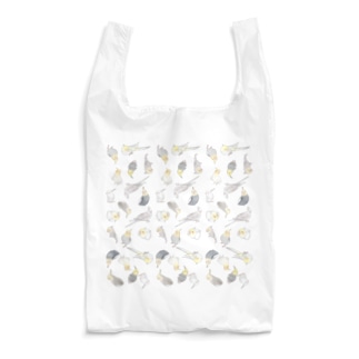 たっぷりオカメインコちゃん【まめるりはことり】