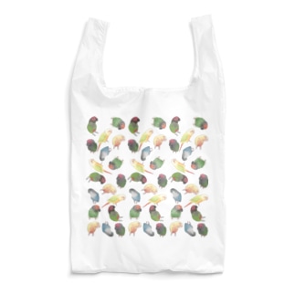 たっぷりウロコインコちゃん【まめるりはことり】