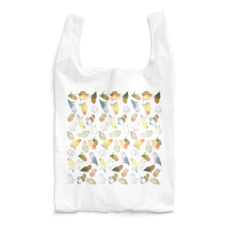 たっぷりラブバード（コザクラインコ・ボタンインコ）ちゃん【まめるりはことり】