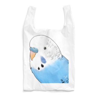 見つめるセキセイインコちゃん【まめるりはことり】