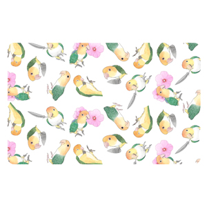 たっぷりシロハラインコちゃんICカードステッカー【まめるりはことり】