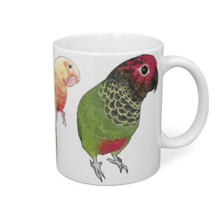 たっぷりウロコインコちゃんマグ【まめるりはことり】