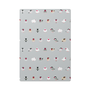 ちみまめ文鳥ちゃん下敷き【まめるりはことり】