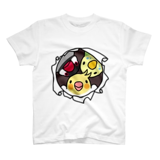 Tシャツ