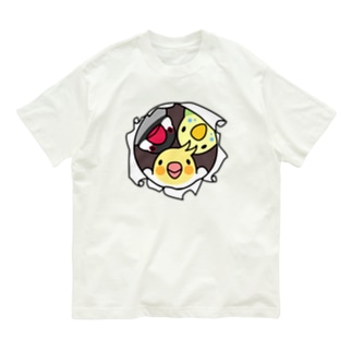 オーガニックコットンTシャツ
