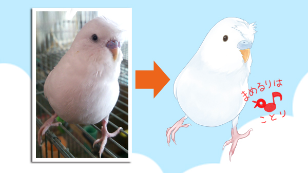 サンプルイメージ