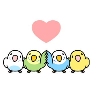 ハイタッチなかよしセキセイインコ【まめるりはことり】