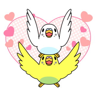 ラブリーセキセイインコ【まめるりはことり】