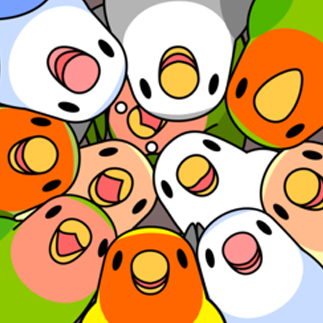 三みっちりむっちり過密コザクラインコさん【まめるりはことり】