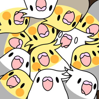 みっちりむっちり過密オカメインコさん【まめるりはことり】