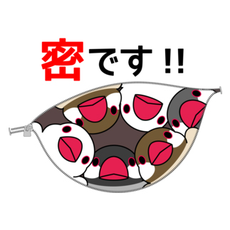 密です！文鳥さん【まめるりはことり】