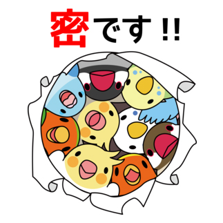 密です！鳥まみれ3密【まめるりはことり】