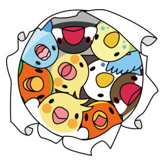 三密です！むちむち鳥まみれ3密【まめるりはことり】