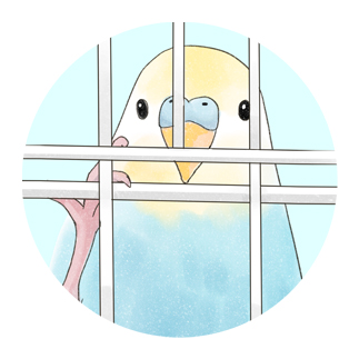 可愛いのぞき見セキセイインコちゃん【まめるりはことり】