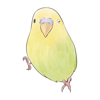 ウィンクするセキセイインコちゃん【まめるりはことり】