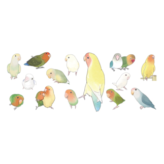 あつまれラブバード（コザクラインコ・ボタンインコ）ちゃん【まめるりはことり】