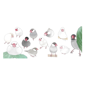 あつまれ文鳥ちゃん【まめるりはことり】