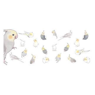 あつまれオカメインコちゃん【まめるりはことり】