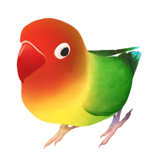 おすましルリゴシボタンインコ【まめるりはことり】