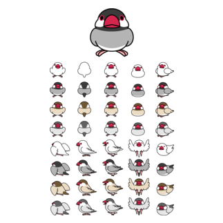 整列文鳥隊【まめるりはことり】