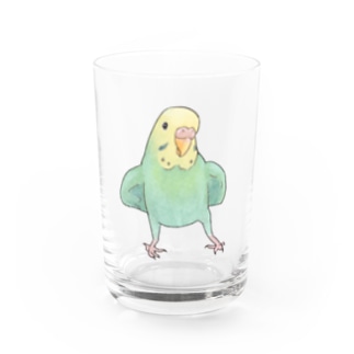 可愛いセキセイインコのミントちゃん【まめるりはことり】