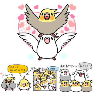 オカメインコ「感謝感激おかめいんこ」