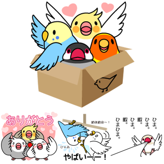 にぎやかインコと文鳥「ぴっぴう隊ぷらす」