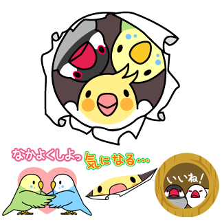 おしゃべりインコと文鳥「ぴっぴう隊」