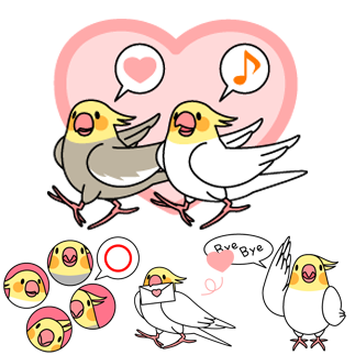 オカメインコ「おかめいんこちゃん」