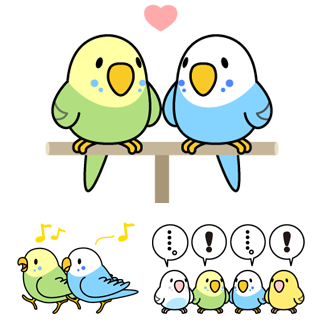 セキセイインコ「せきせいんこっこ」