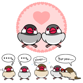 文鳥「ぶんちょ」